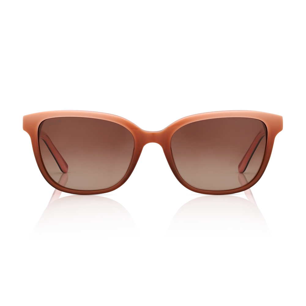 Meow Havana Front